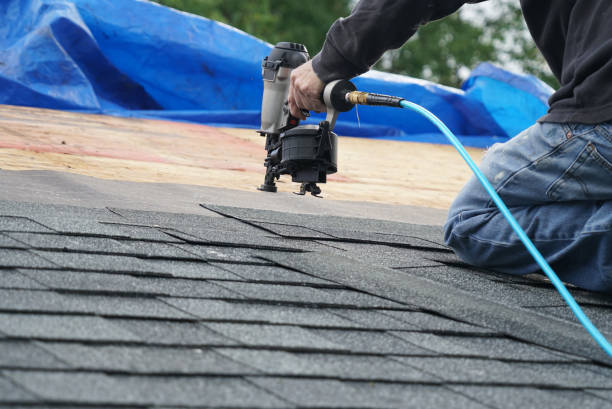 Best Roof Repair  in Harrisonburg, VA